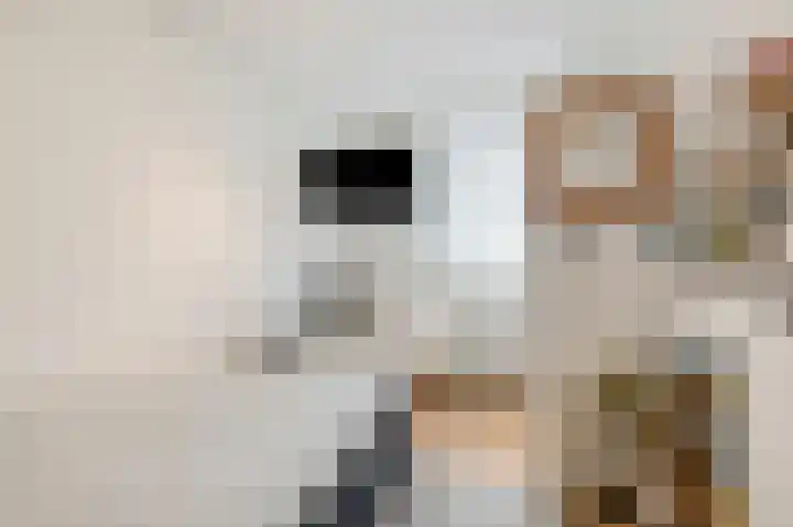 Gerard van Swietenlaan 20 Tiel thumbnail 21
