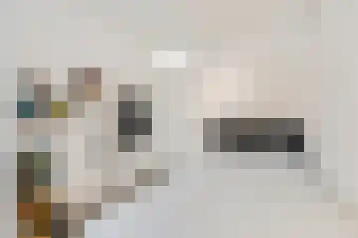 Gerard van Swietenlaan 20 Tiel thumbnail 22