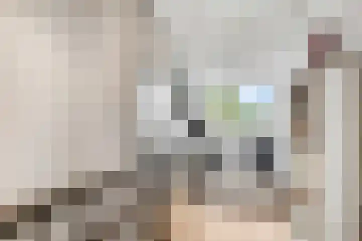 Gerard van Swietenlaan 20 Tiel thumbnail 23