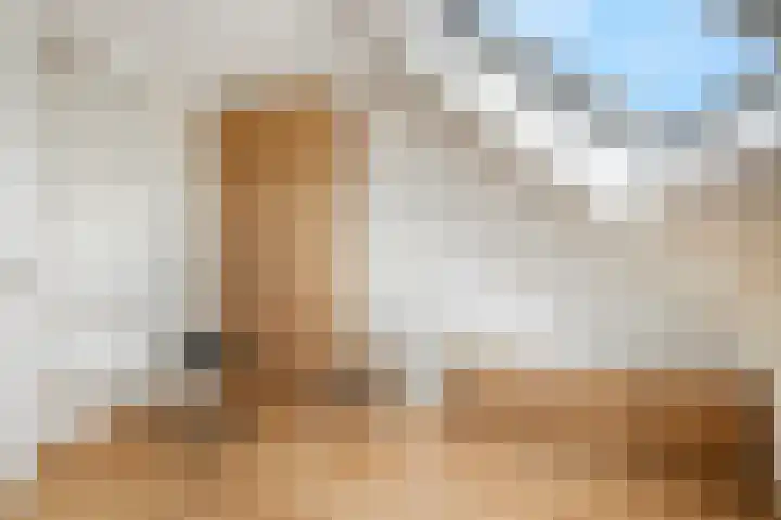 Gerard van Swietenlaan 20 Tiel thumbnail 25