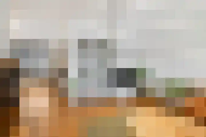 Gerard van Swietenlaan 20 Tiel thumbnail 4