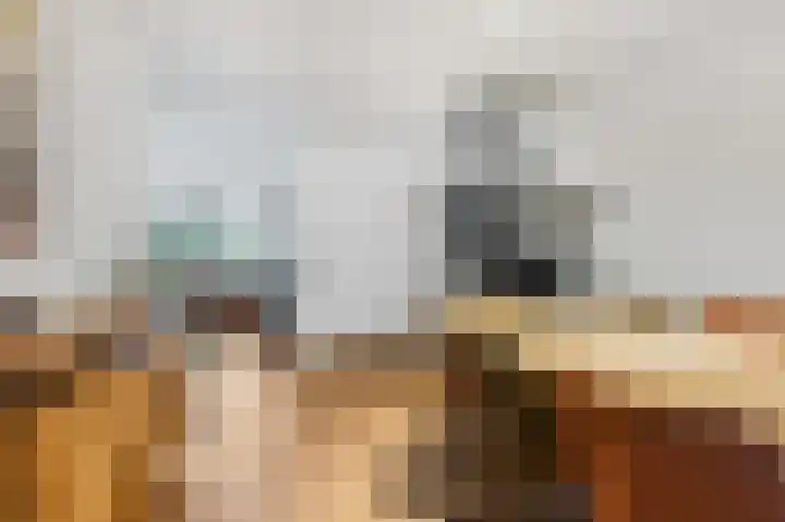 Gerard van Swietenlaan 20 Tiel thumbnail 5
