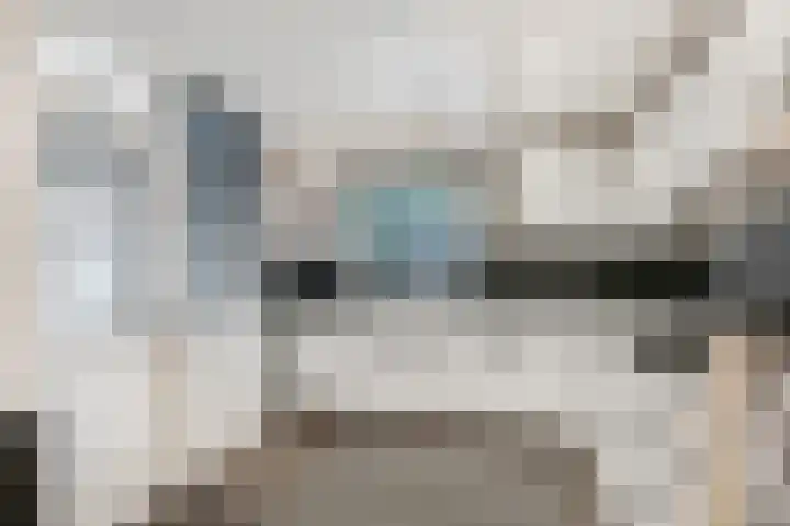 Gerard van Swietenlaan 20 Tiel thumbnail 6