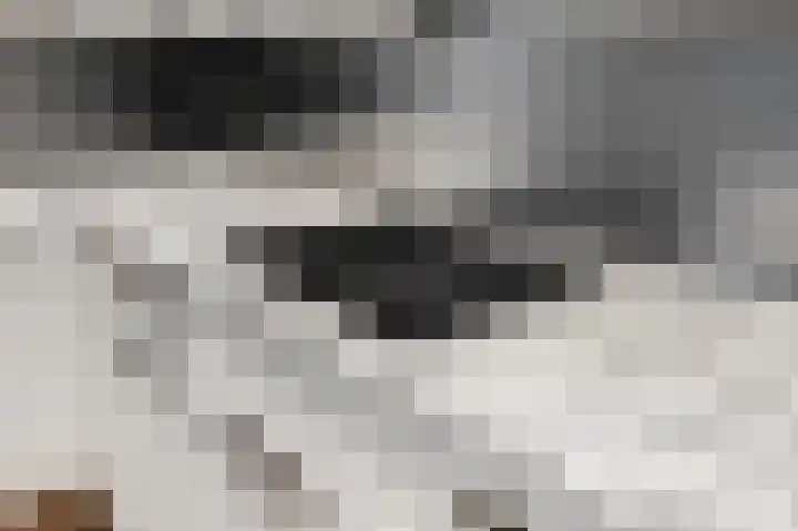 Gerard van Swietenlaan 20 Tiel thumbnail 7