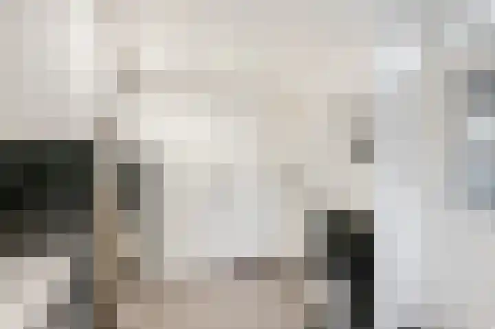 Gerard van Swietenlaan 20 Tiel thumbnail 8