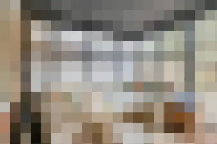 Gerard van Swietenlaan 20 Tiel thumbnail 9