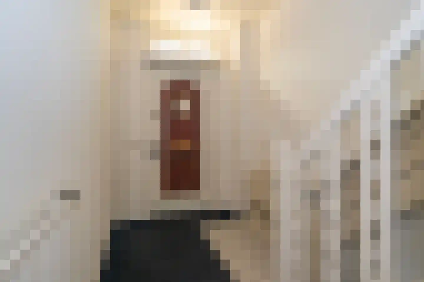 Gerard van Swietenstraat 75 Tilburg thumbnail 13