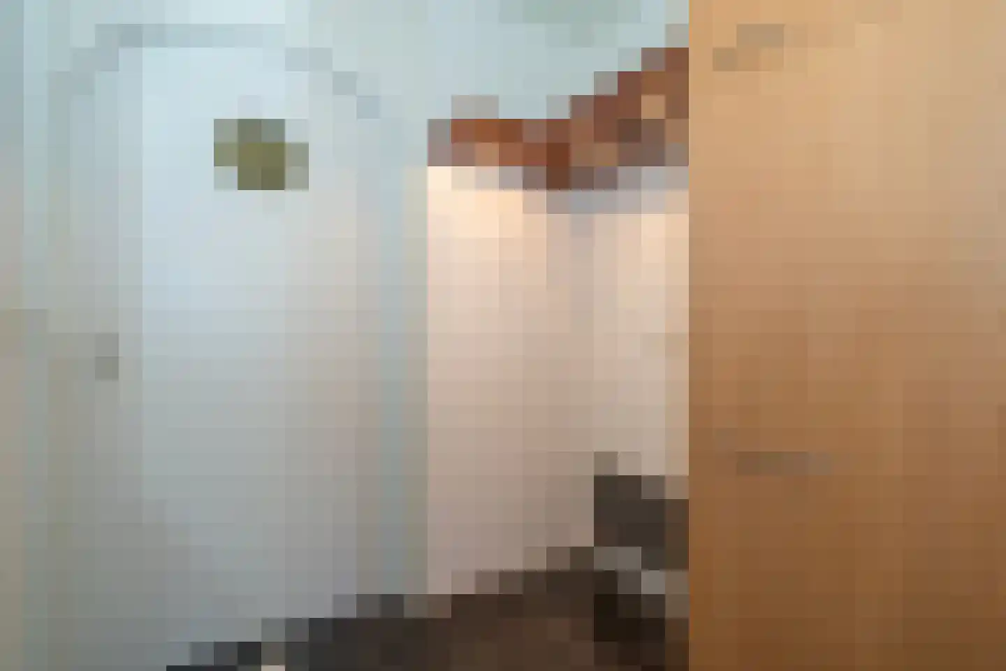 Gerard van Swietenstraat 75 Tilburg thumbnail 18