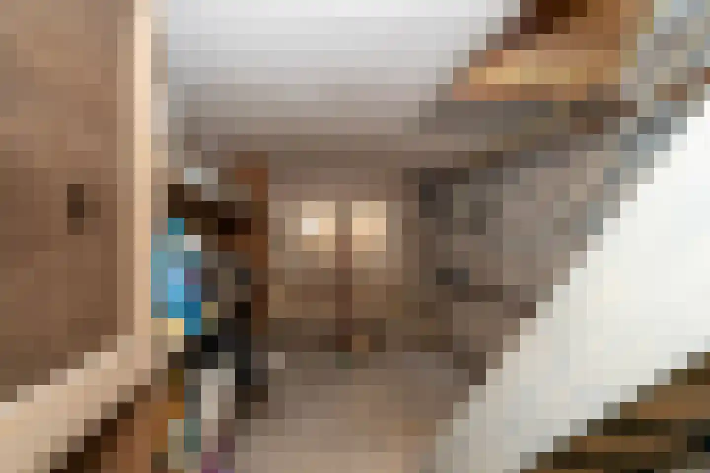 Gerard van Swietenstraat 75 Tilburg thumbnail 20