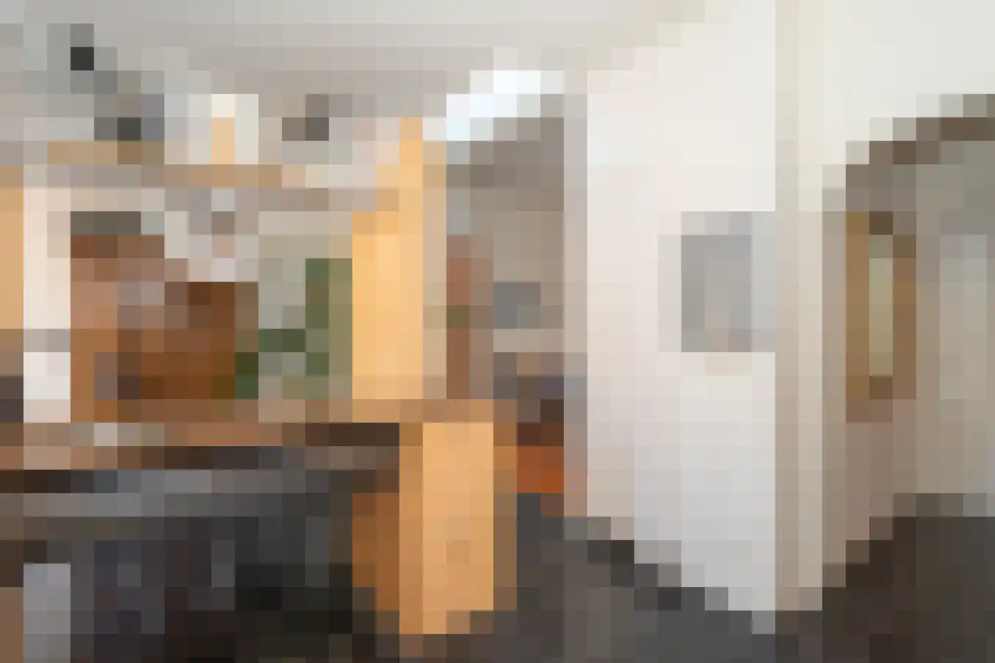 Gerard van Swietenstraat 75 Tilburg thumbnail 38