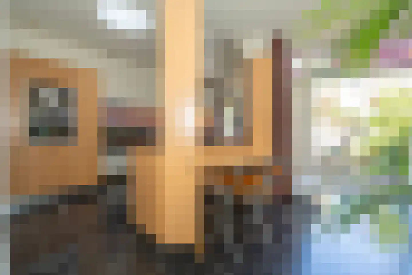 Gerard van Swietenstraat 75 Tilburg thumbnail 40