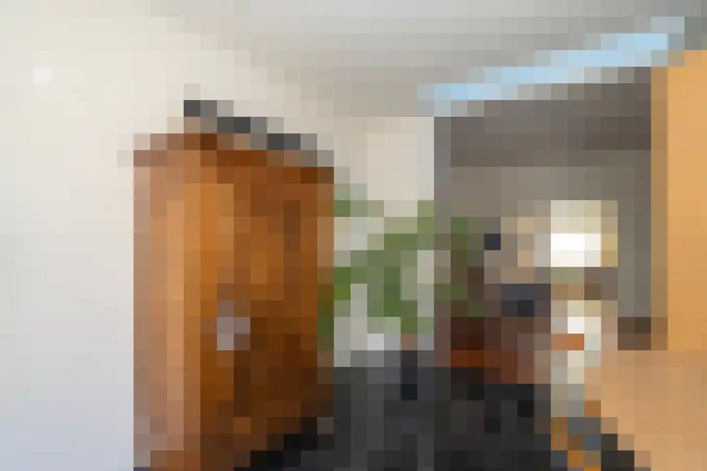 Gerard van Swietenstraat 75 Tilburg thumbnail 42
