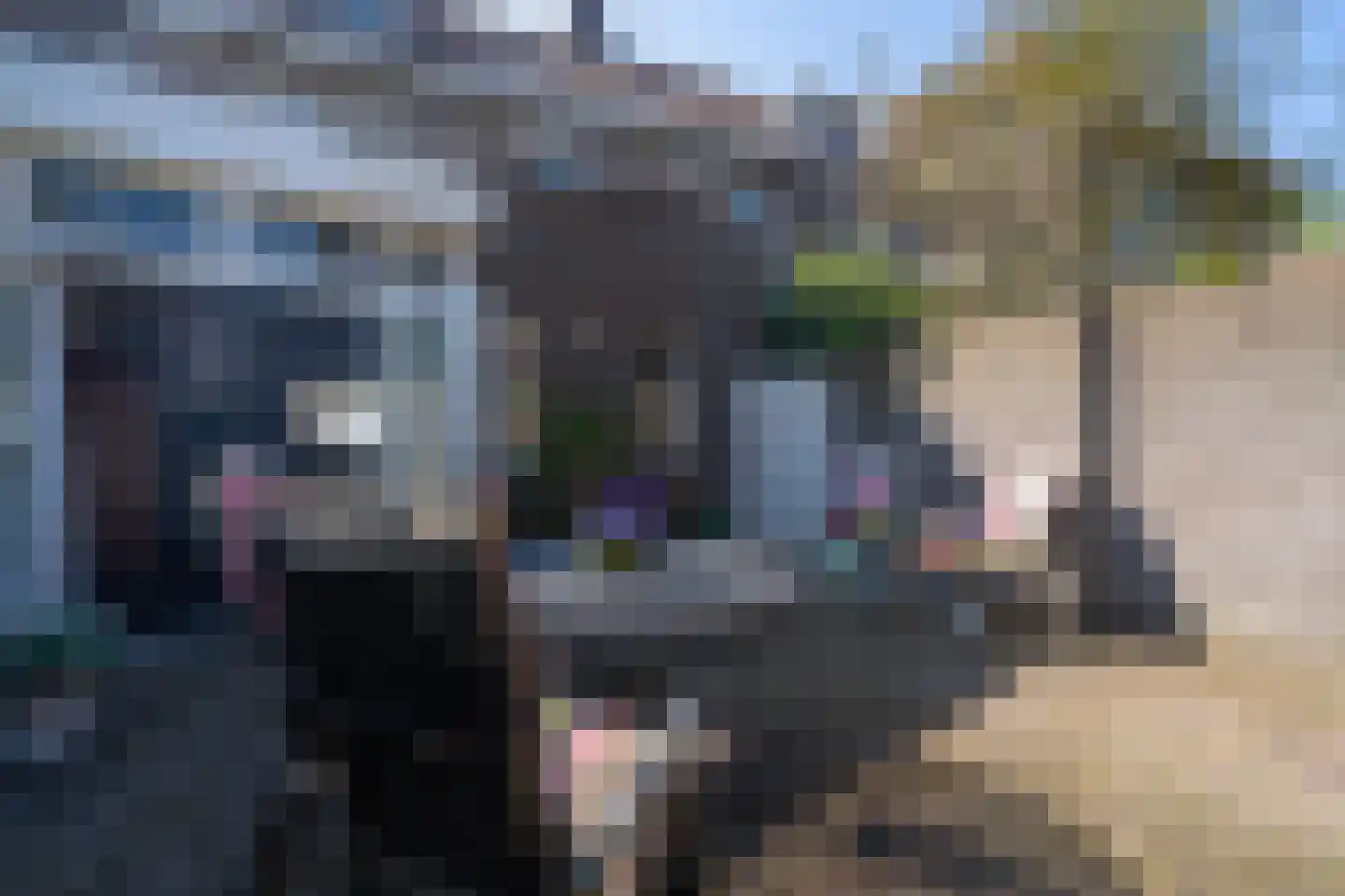 Gerard van Swietenstraat 75 Tilburg thumbnail 45