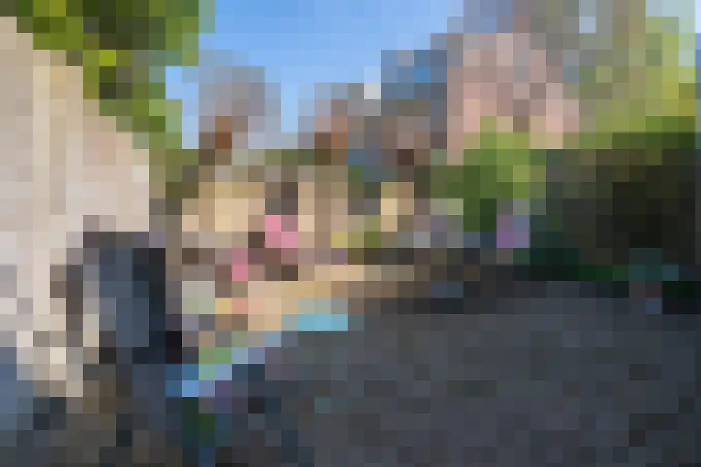Gerard van Swietenstraat 75 Tilburg thumbnail 46
