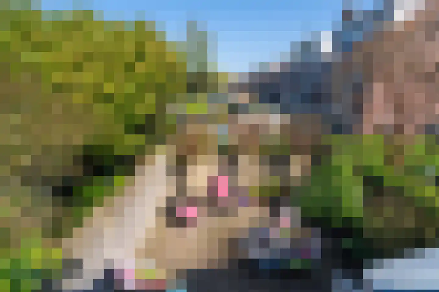 Gerard van Swietenstraat 75 Tilburg thumbnail 48