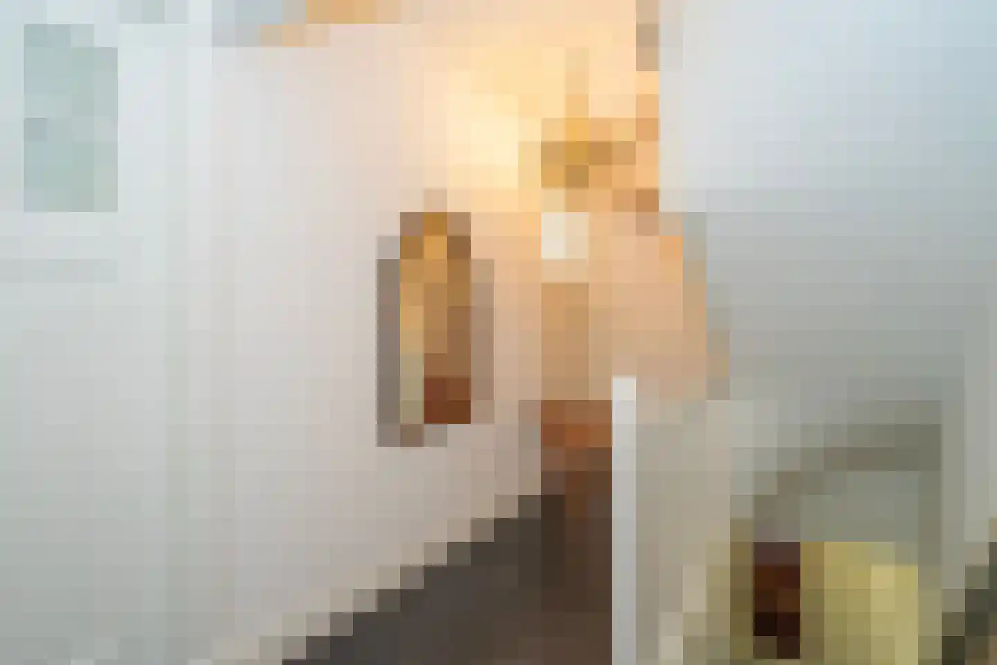 Gerard van Swietenstraat 75 Tilburg thumbnail 51