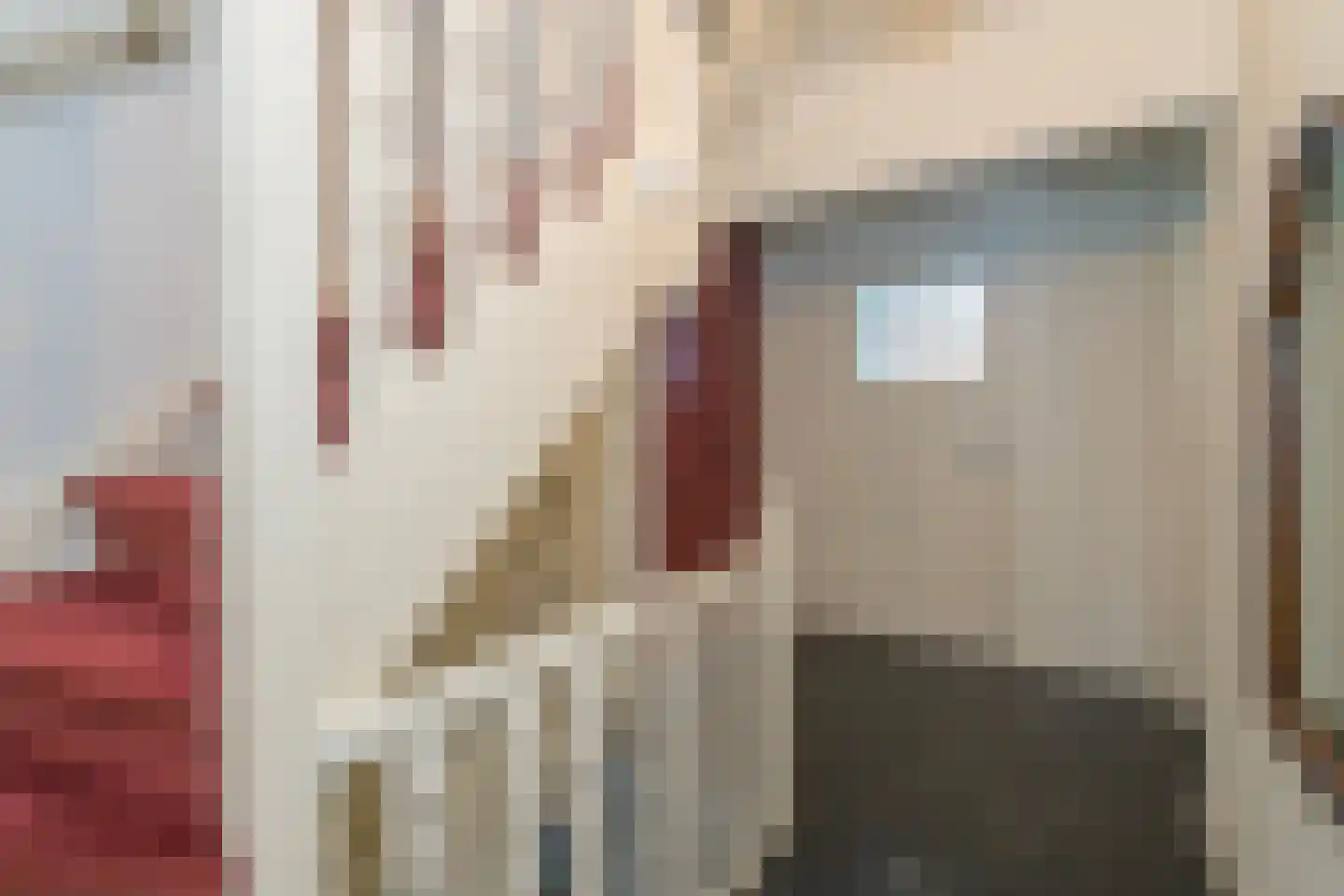 Gerard van Swietenstraat 75 Tilburg thumbnail 53