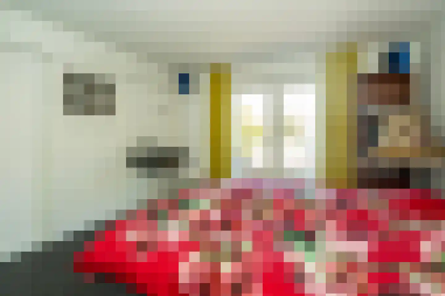 Gerard van Swietenstraat 75 Tilburg thumbnail 58