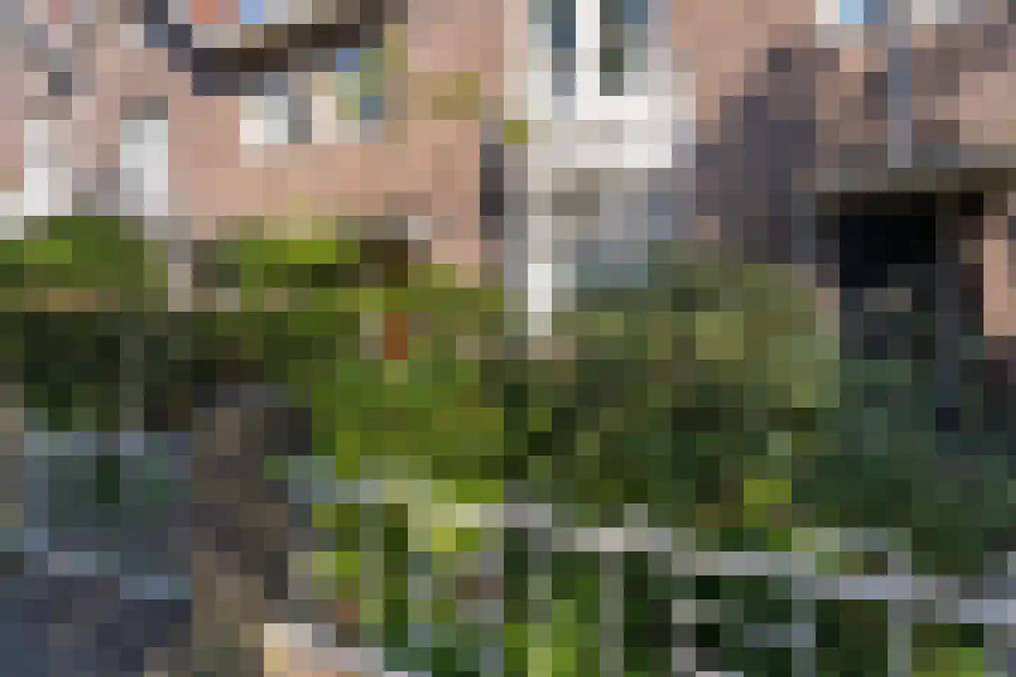 Gerard van Swietenstraat 75 Tilburg thumbnail 6