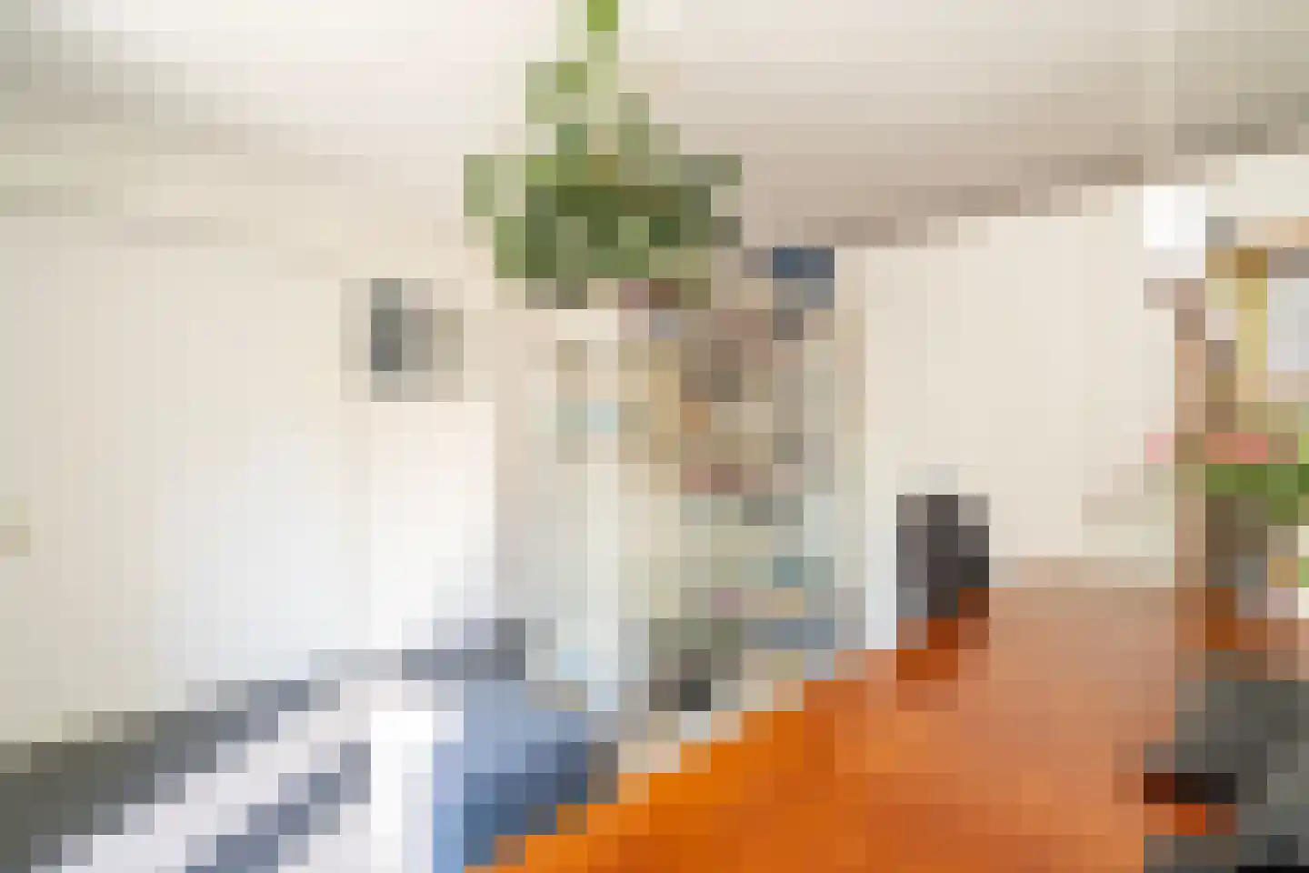 Gerard van Swietenstraat 75 Tilburg thumbnail 60