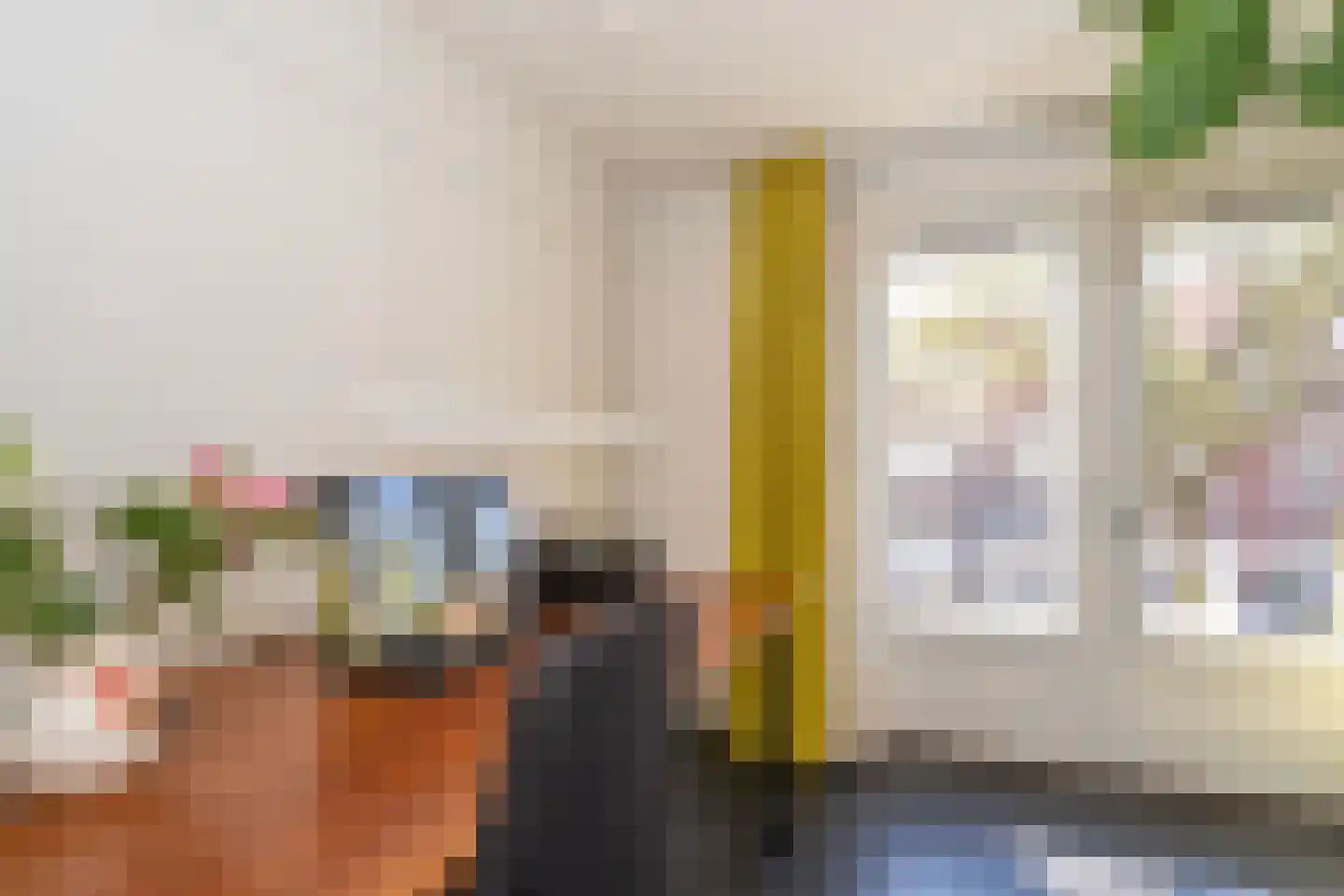 Gerard van Swietenstraat 75 Tilburg thumbnail 61