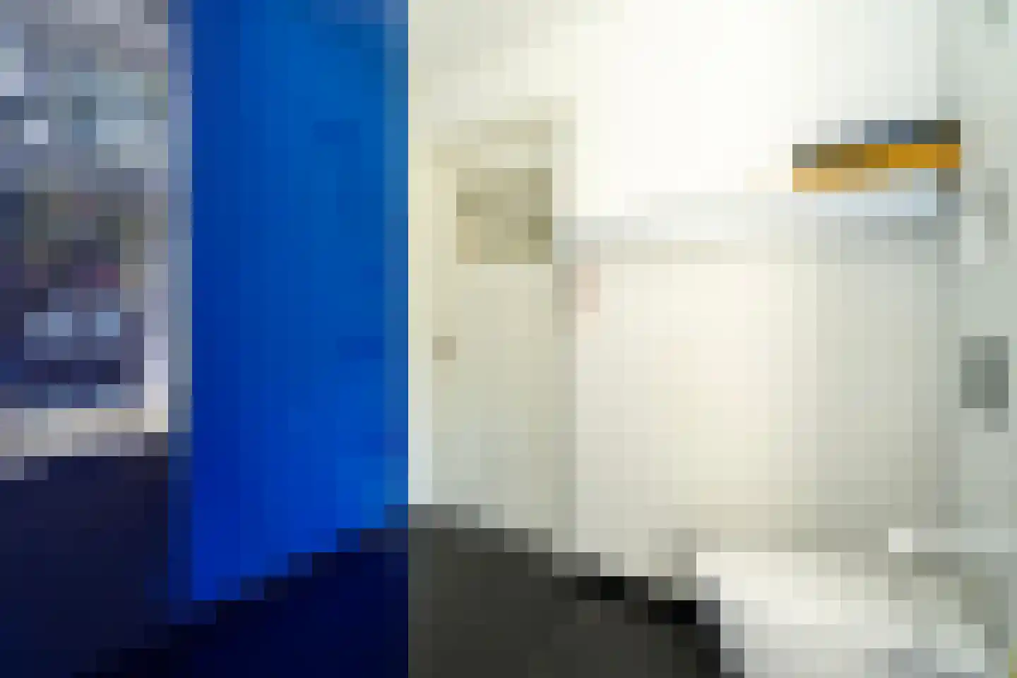 Gerard van Swietenstraat 75 Tilburg thumbnail 66