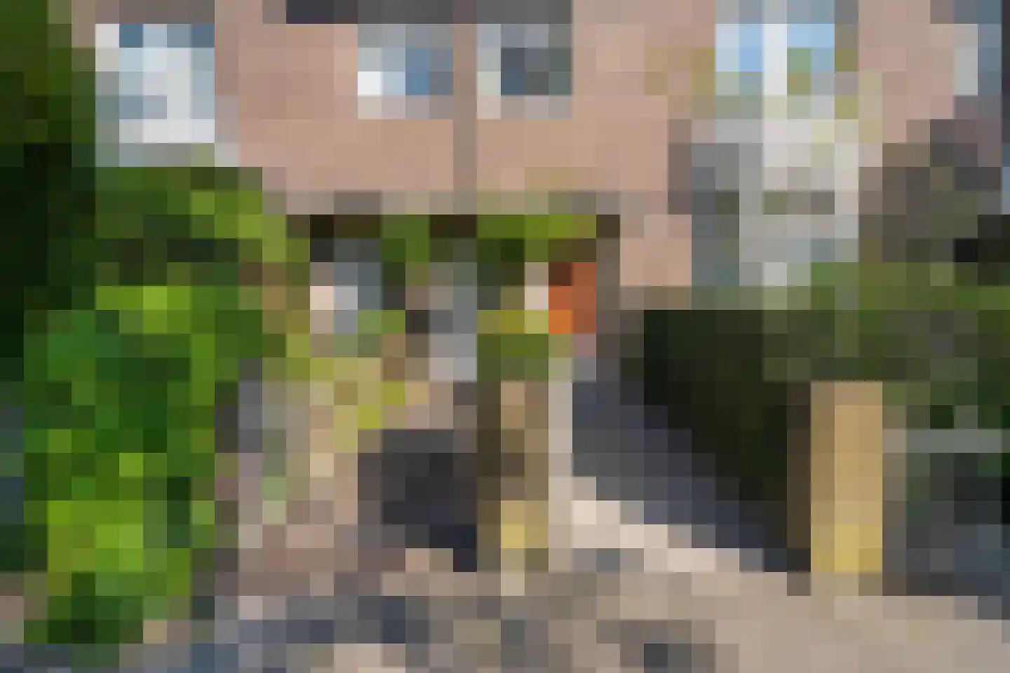 Gerard van Swietenstraat 75 Tilburg thumbnail 7