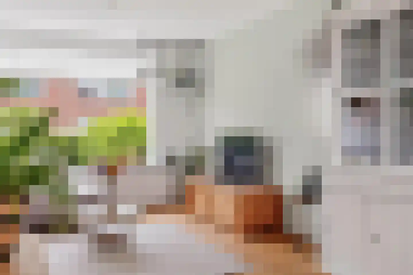 Gerard van Voornestraat 139 Brielle thumbnail 12