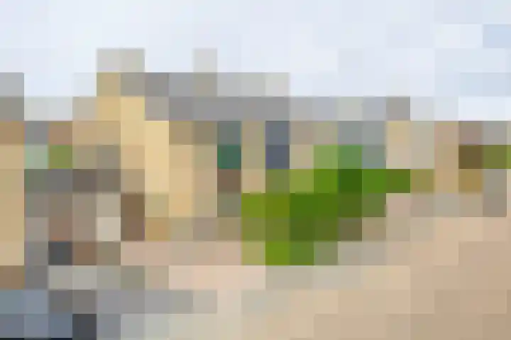 Gerard van Voornestraat 49 Brielle thumbnail 10