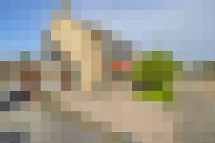 Gerard van Voornestraat 49 Brielle thumbnail 11