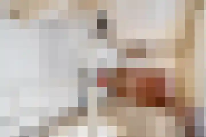 Gerard van Voornestraat 49 Brielle thumbnail 36