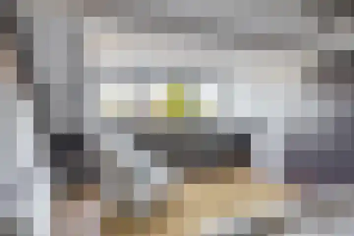 Gerard van Voornestraat 49 Brielle thumbnail 37