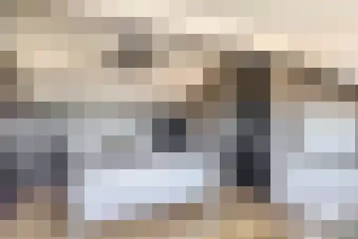 Gerard van Voornestraat 49 Brielle thumbnail 38