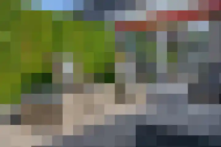 Gerard van Voornestraat 49 Brielle thumbnail 39