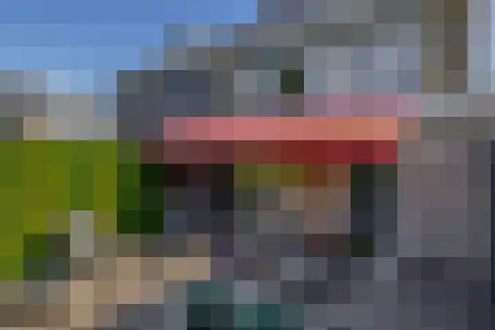 Gerard van Voornestraat 49 Brielle thumbnail 41