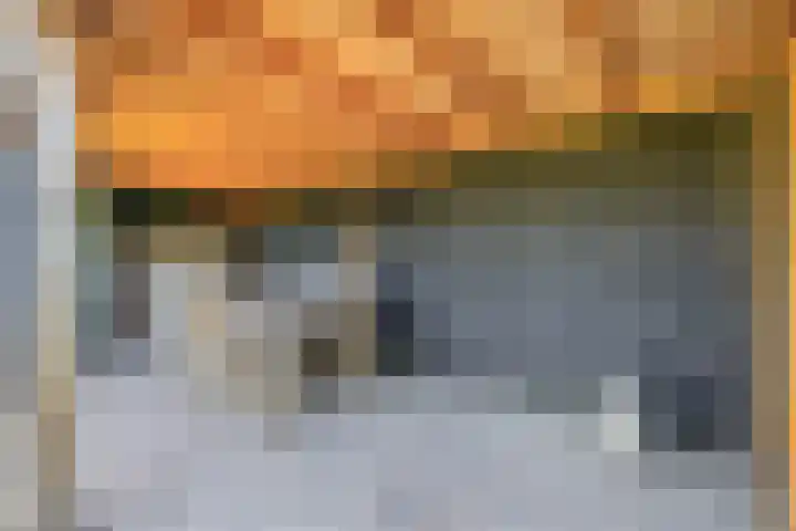 Gerard van Voornestraat 49 Brielle thumbnail 43