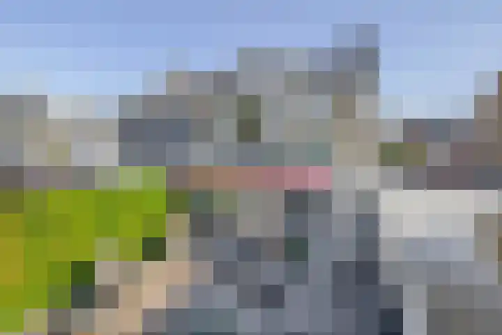 Gerard van Voornestraat 49 Brielle thumbnail 47