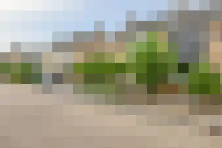 Gerard van Voornestraat 49 Brielle thumbnail 6
