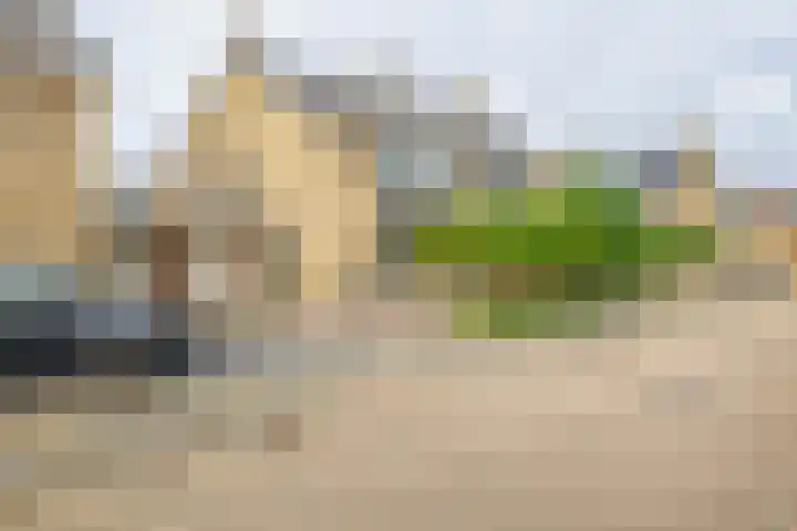 Gerard van Voornestraat 49 Brielle thumbnail 9