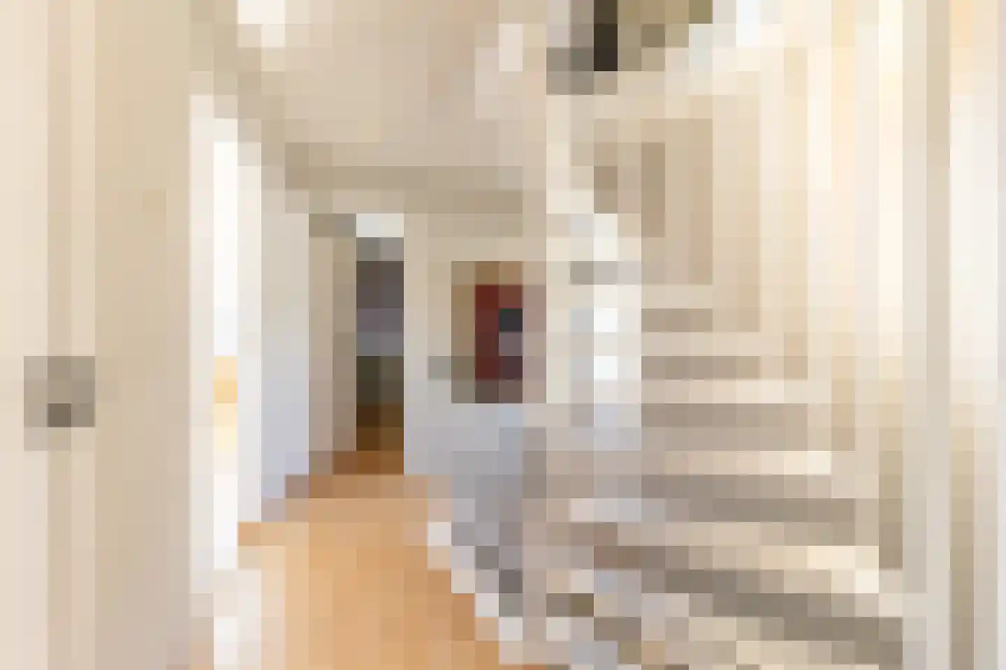 Gerard van Voornestraat 55 Brielle thumbnail 20