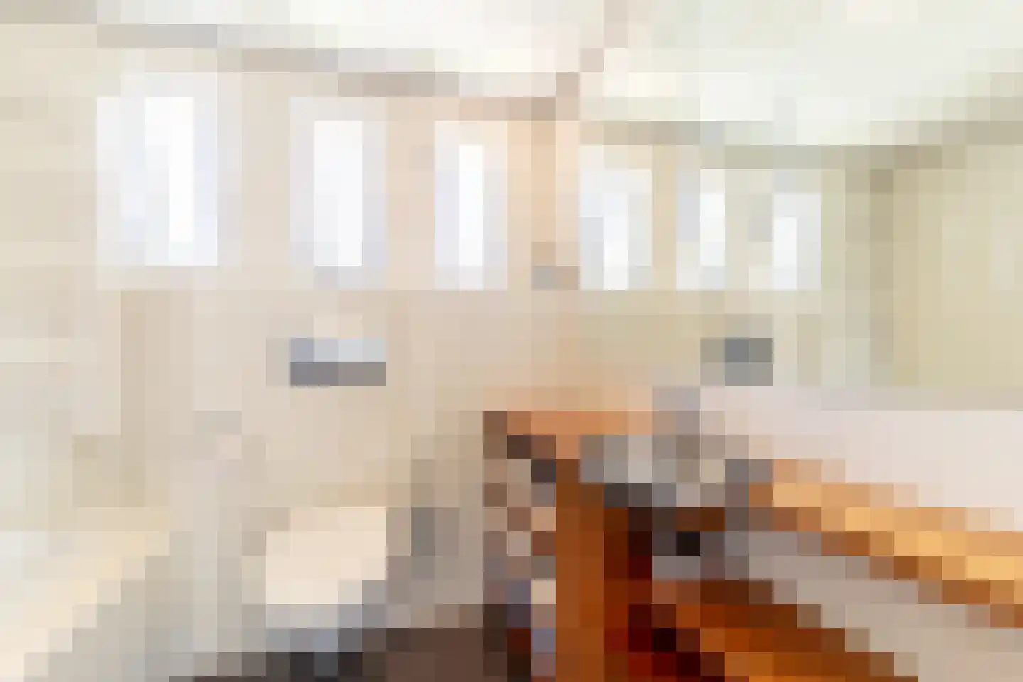 Gerard van Voornestraat 55 Brielle thumbnail 27