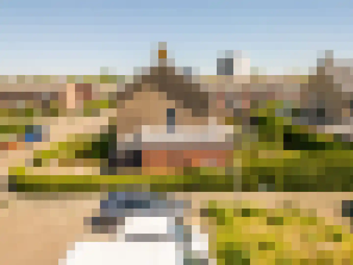 Gerard van Voornestraat 55 Brielle thumbnail 37