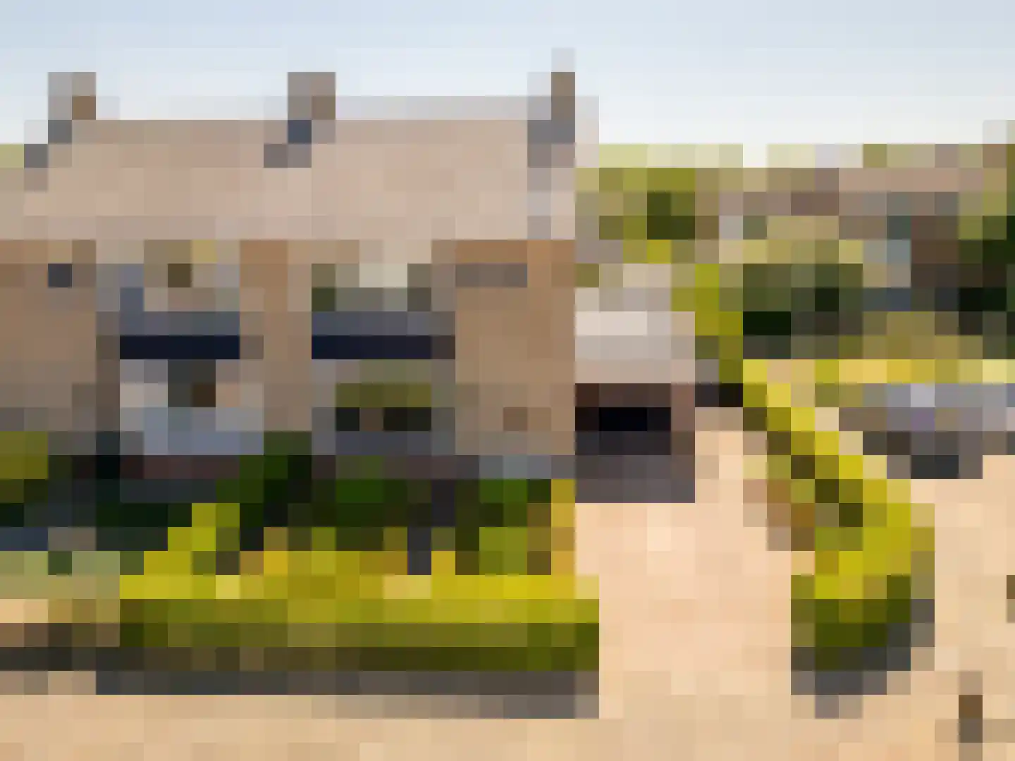 Gerard van Voornestraat 55 Brielle thumbnail 5