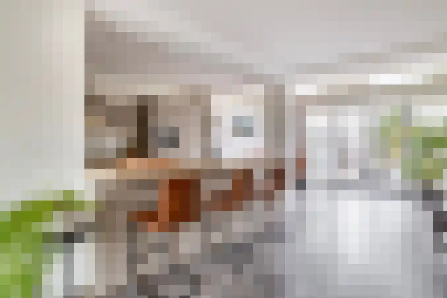 Gerard van Voornestraat 79 Brielle thumbnail 20