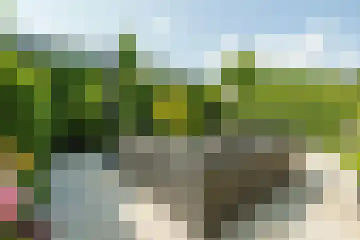 Gerard Walschaphove 23 Nieuwegein thumbnail 28