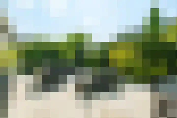 Gerard Walschaphove 23 Nieuwegein thumbnail 29