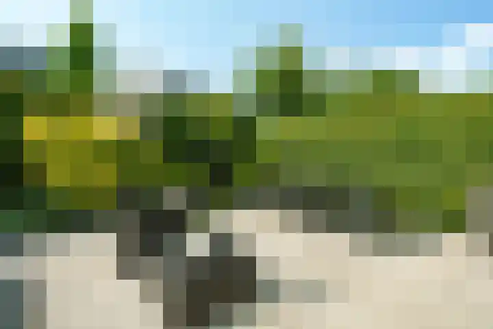 Gerard Walschaphove 23 Nieuwegein thumbnail 30
