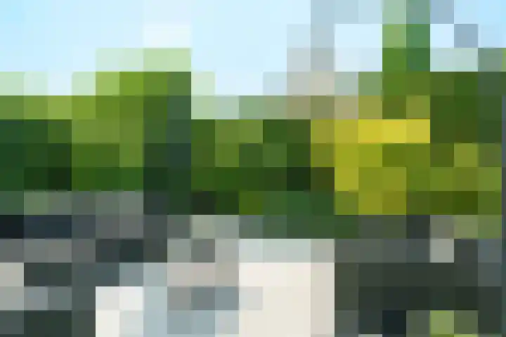 Gerard Walschaphove 23 Nieuwegein thumbnail 31