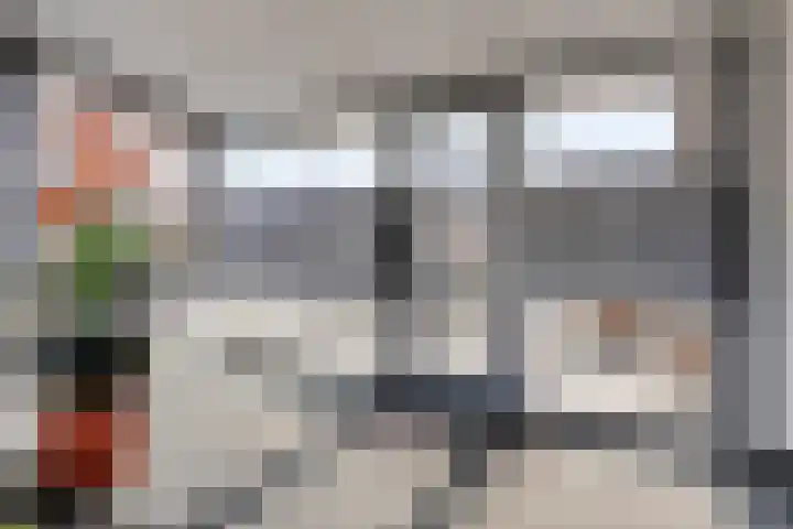 Gerard Walschaplaan 30 Roosendaal thumbnail 9