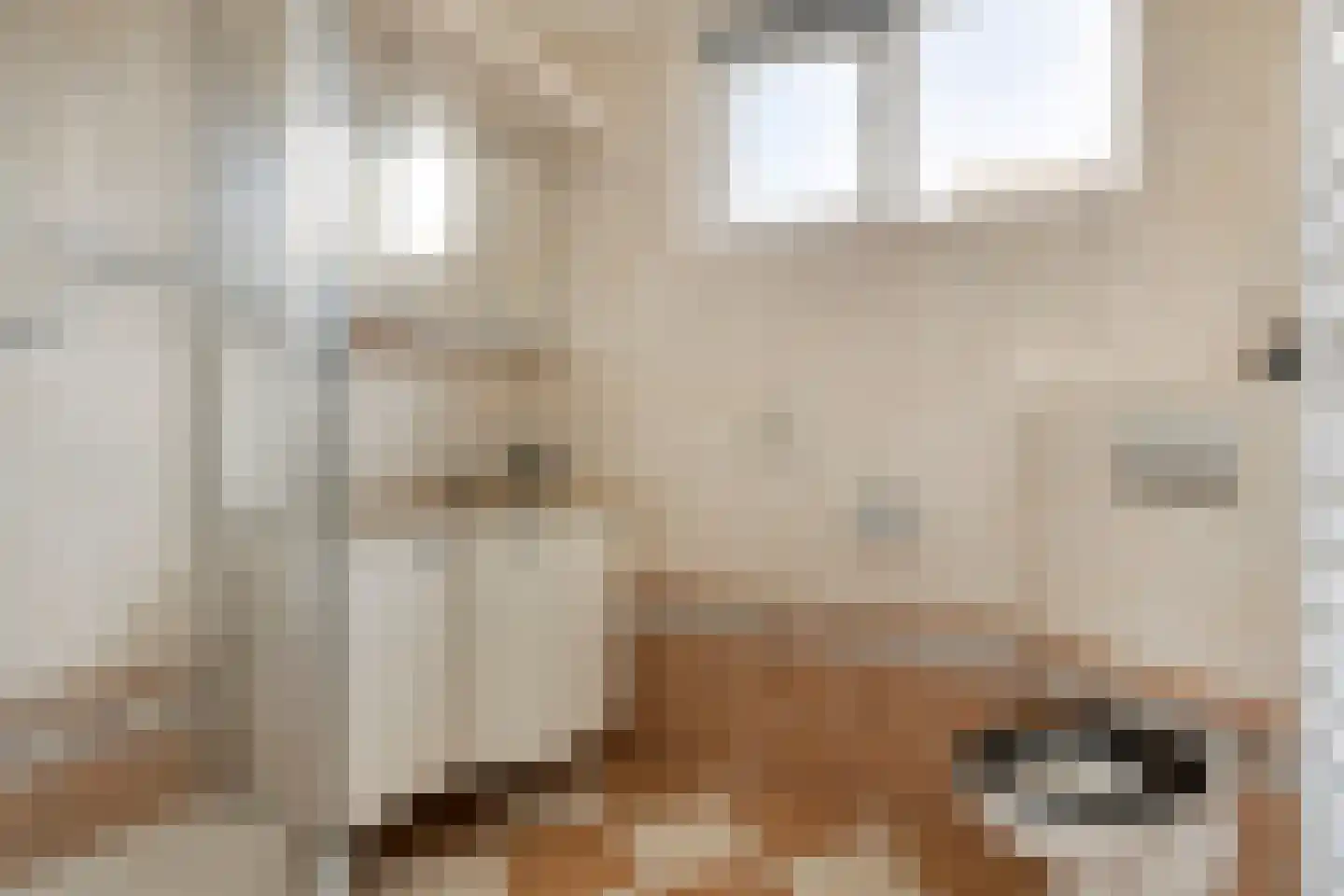 Gerard Wilschutpad 13 Hoogvliet Rotterdam thumbnail 21